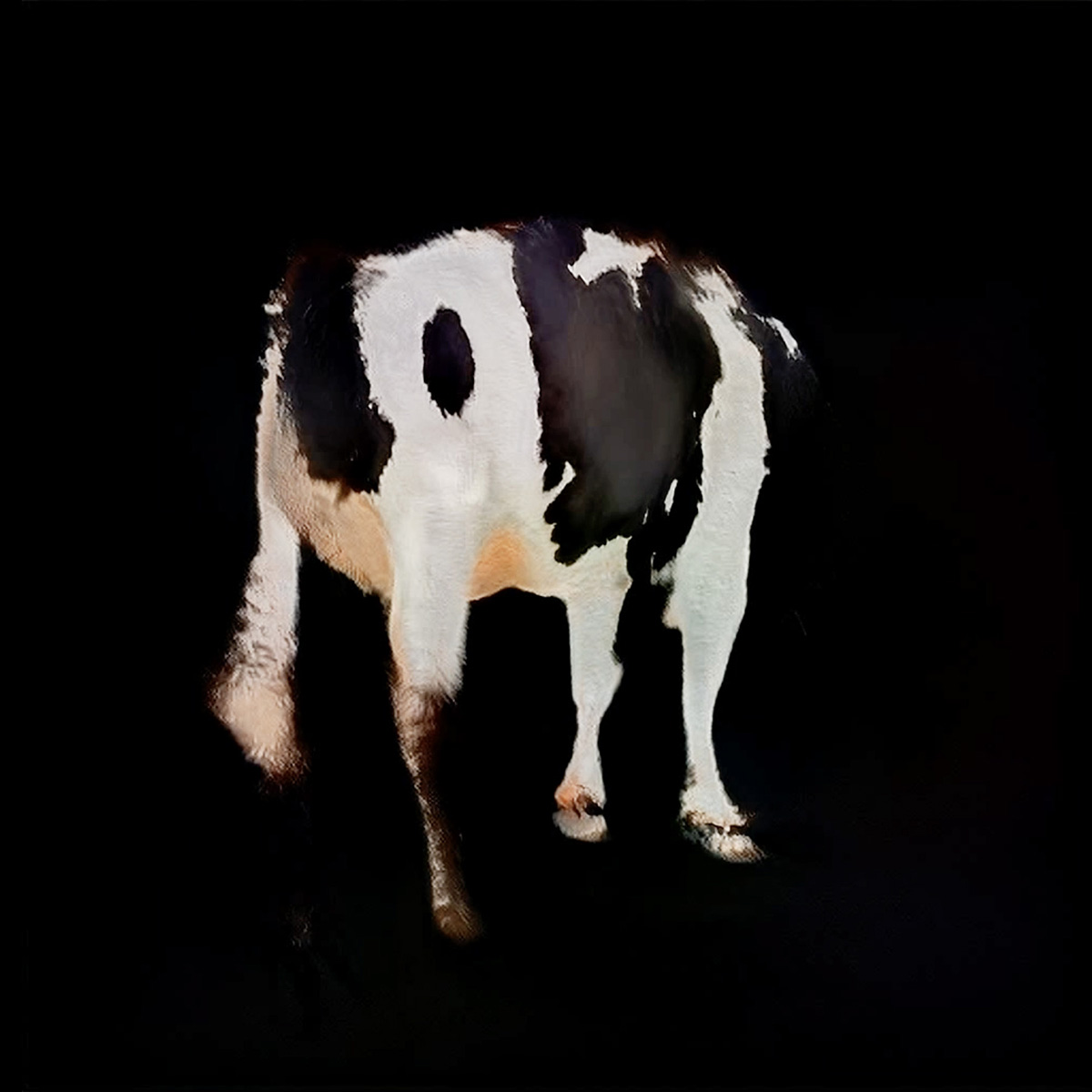 Daniel Szalai - Algorithmic Alchemy of Cows
